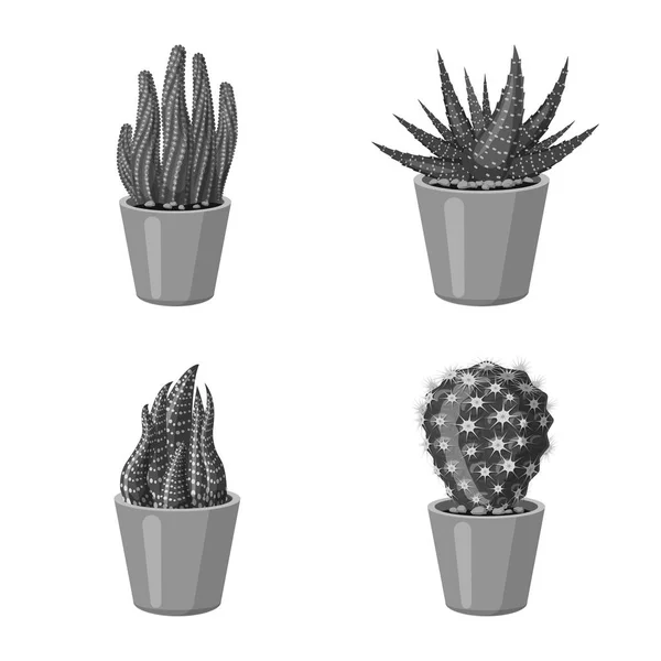 Ilustración vectorial de cactus y pote símbolo. Colección de cactus y cactus stock vector ilustración . — Vector de stock