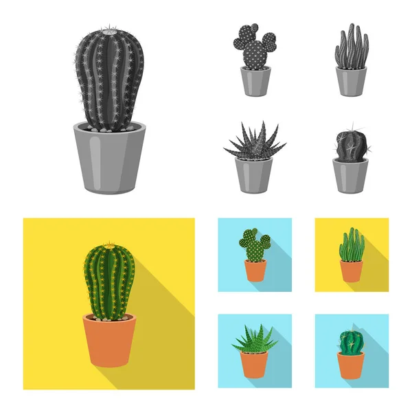 Oggetto isolato di cactus e segno di pentola. Raccolta di icone vettoriali di cactus e cactus per stock . — Vettoriale Stock
