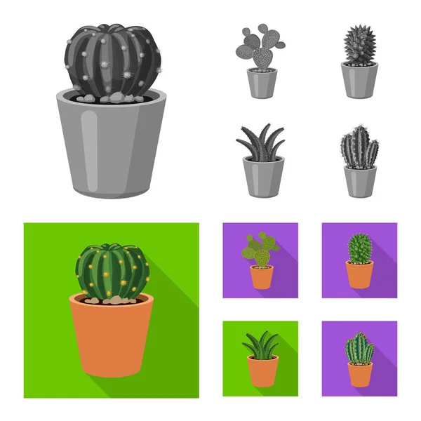 Εικονογράφηση διάνυσμα λογότυπο cactus και ποτ. Σύνολο των κάκτων και εικονογράφηση διάνυσμα απόθεμα κάκτοι. — Διανυσματικό Αρχείο