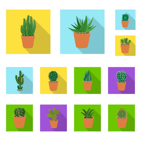 Vector illustration of cactus and pot sign. Set of cactus and cacti vector icon for stock. — Stock Vector