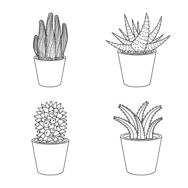 Kaktüs ve pot simge vektör tasarımı. Kaktüs ve web için kaktüsler hisse senedi simgesi.