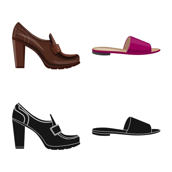 Ilustración vectorial de calzado y símbolo de mujer. Set de calzado y pie vector icono para stock . — Archivo Imágenes Vectoriales