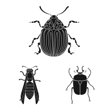 Böcek ve sinek sembolü yalıtılmış nesne. Böcek ve öğe vektör simgesini hissenin topluluğu.