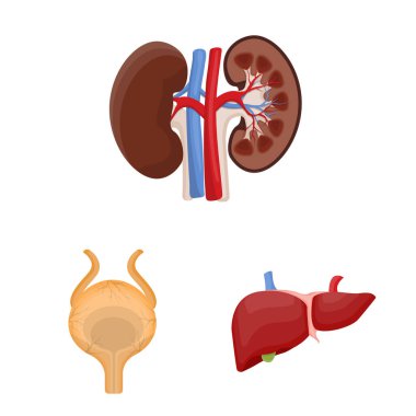 Vücut ve insan simge vektör tasarımı. Vücut ve web için tıbbi hisse senedi simgesi toplama.