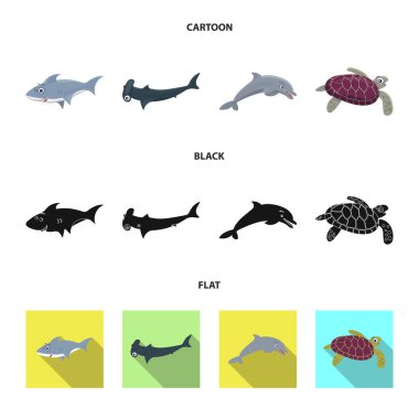 Deniz ve hayvan logosu yalıtılmış nesne. Deniz ve deniz hisse senedi simgesi için web topluluğu.