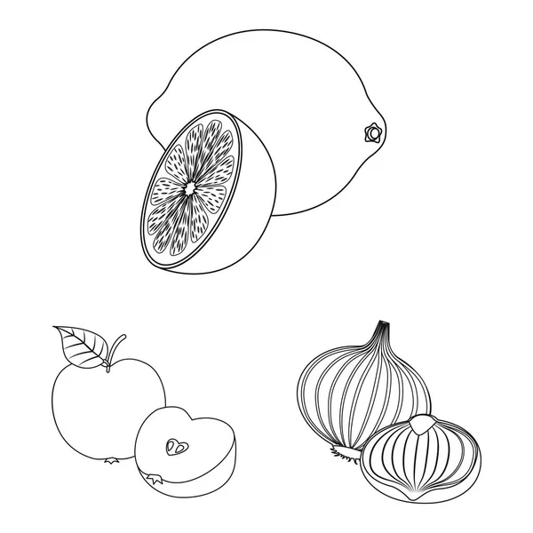 Vektordesign von Gemüse und Obst-Symbol. Reihe von pflanzlichen und vegetarischen Brühvektoren Illustration. — Stockvektor