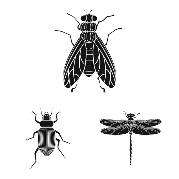 昆虫と飛ぶアイコンの孤立したオブジェクト。昆虫と要素の株式ベクトル図のセット. — ストックベクタ