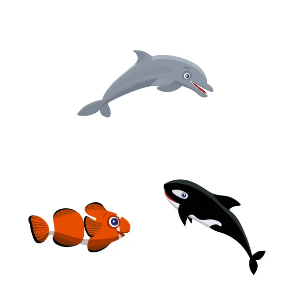 Diseño vectorial de mar y símbolo animal. Conjunto de ilustración de vectores marinos y marinos . — Archivo Imágenes Vectoriales