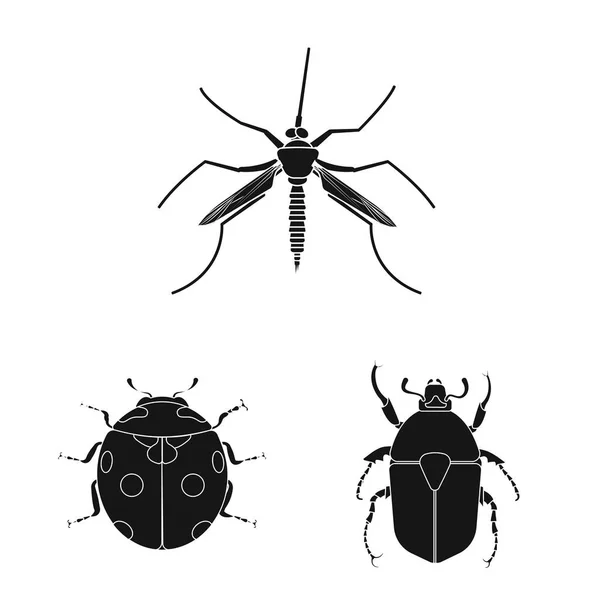 Projekt wektor znak owadów i mucha. Zbiór owadów i element Stockowa ilustracja wektorowa. — Wektor stockowy