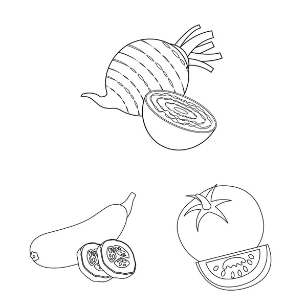 Conception vectorielle du logo des légumes et fruits. Collection d'illustrations vectorielles de légumes et de bouillon végétarien . — Image vectorielle