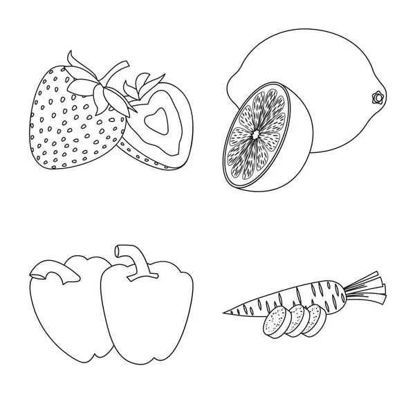 Diseño vectorial de icono de frutas y verduras. Conjunto de ilustración de vectores vegetales y vegetarianos . — Vector de stock