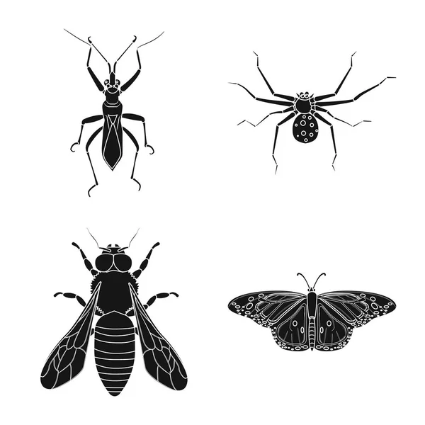 Vector ontwerp van insecten en vliegen pictogram. Set insect en element voorraad vectorillustratie. — Stockvector