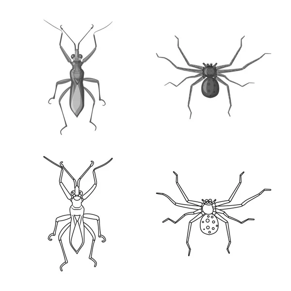 Векторная конструкция насекомых и летающих знаков. Набор векторных значков насекомых и элементов для склада . — стоковый вектор