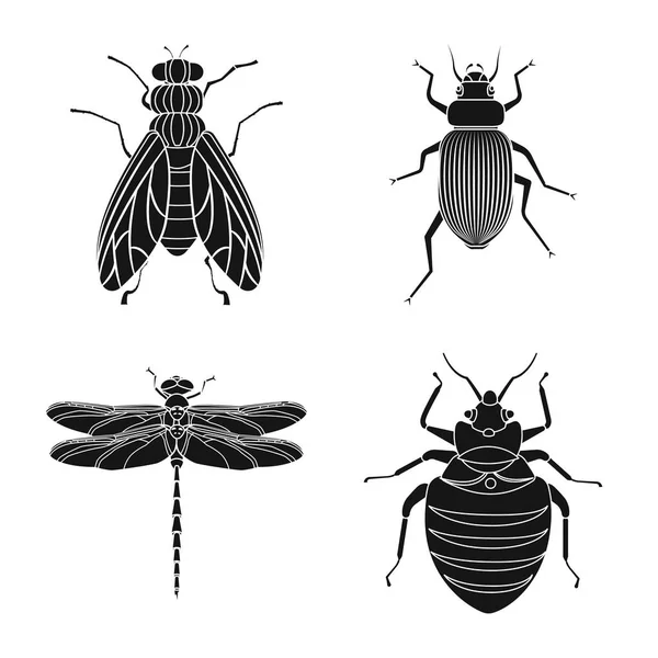 곤충 및 비행 상징의 벡터 디자인입니다. 곤충 및 요소 주식 벡터 일러스트 레이 션의 설정. — 스톡 벡터