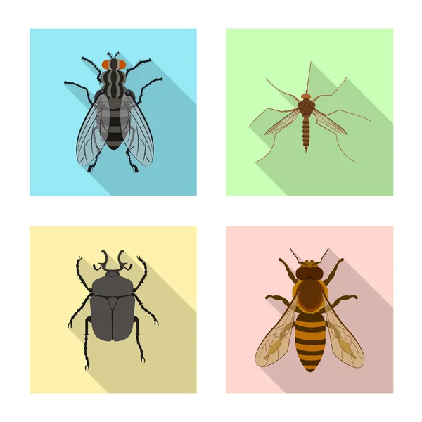 Geïsoleerde object van insecten en vliegen logo. Collectie van insect en element aandelensymbool voor web. — Stockvector