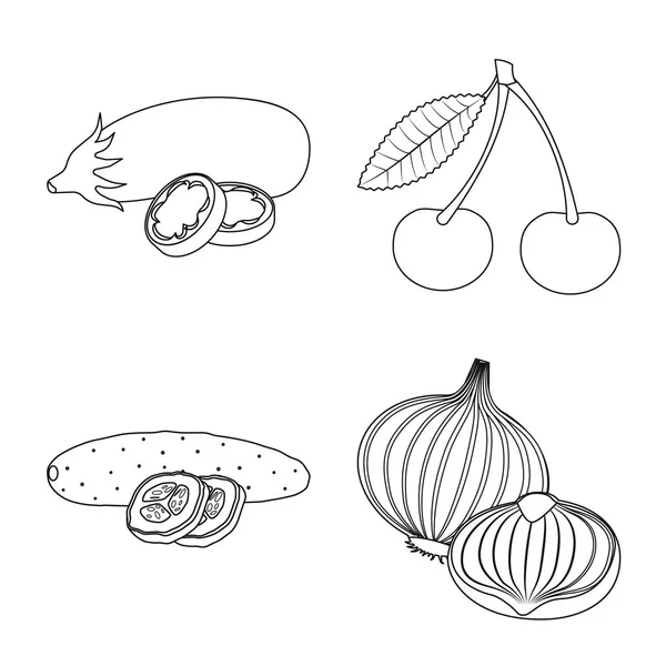 Conception vectorielle des légumes et des fruits icône. Ensemble d'illustration vectorielle de légumes et de bouillon végétarien . — Image vectorielle