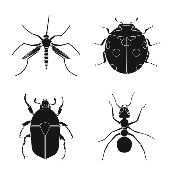 Projekt wektor ikona owadów i mucha. Kolekcja owadów i element Stockowa ilustracja wektorowa. — Wektor stockowy