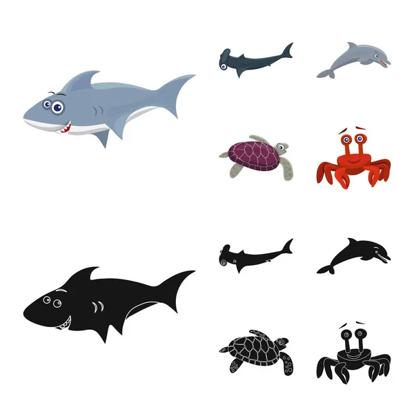 Objeto aislado de mar y símbolo animal. Conjunto de símbolo de stock marino y marino para web . — Vector de stock