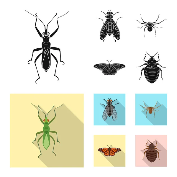 Ilustración vectorial del signo de insectos y moscas. Colección de insectos y vector de stock de elementos ilustración . — Vector de stock