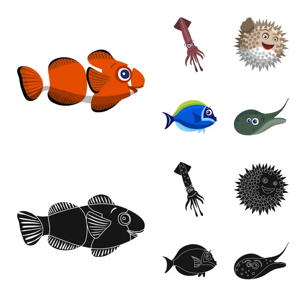Ilustración vectorial del icono del mar y los animales. Colección de símbolo de stock marino y marino para web . — Vector de stock
