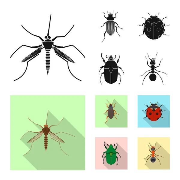 Böcek ve sinek simge vektör tasarımı. Böcek ve öğe hisse senedi simgesi için web topluluğu. — Stok Vektör