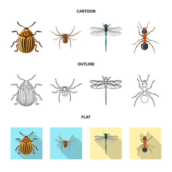 곤충 및 비행 아이콘의 고립 된 개체입니다. 웹에 대 한 곤충과 요소 주식 기호 모음. — 스톡 벡터