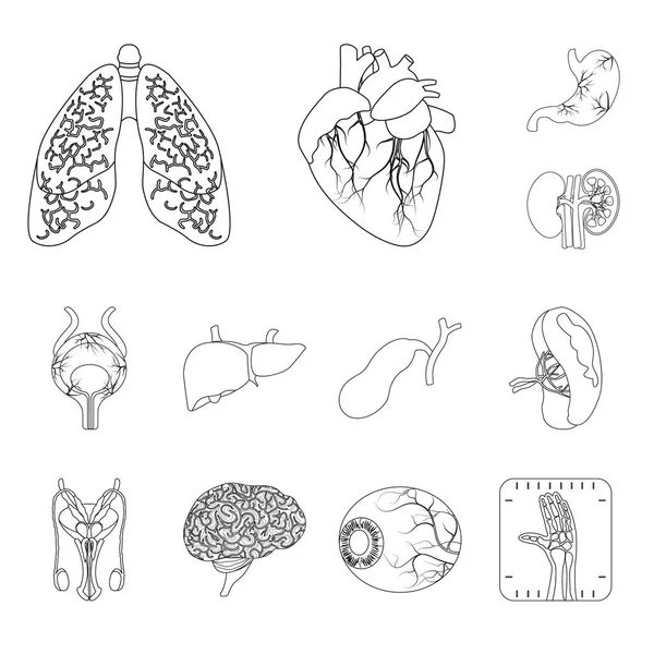 วัตถุแยกของร่างกายและโลโก้ของมนุษย์ ชุดของร่างกายและภาพเวกเตอร์หุ้นทางการแพทย์ . — ภาพเวกเตอร์สต็อก