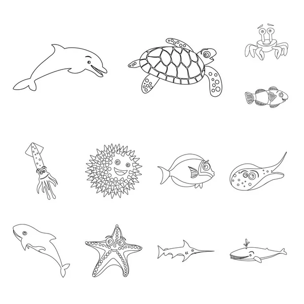 Isolated object of sea and animal sign. Collection of sea and marine stock symbol for web. — Stock Vector