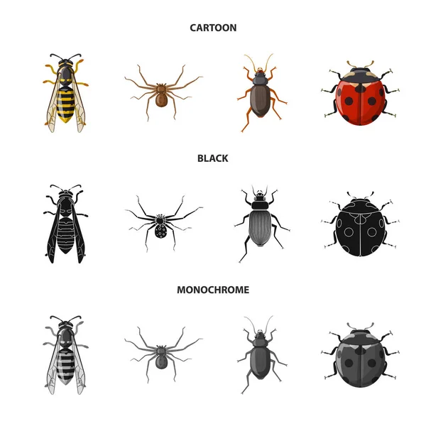 Objeto aislado de insecto y mosca símbolo. Colección de insectos y elemento vector icono para stock . — Vector de stock