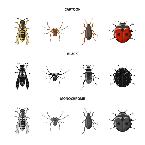 곤충 및 비행 상징의 고립 된 개체입니다. 주식에 대 한 곤충 및 요소 벡터 아이콘의 컬렉션. — 스톡 벡터