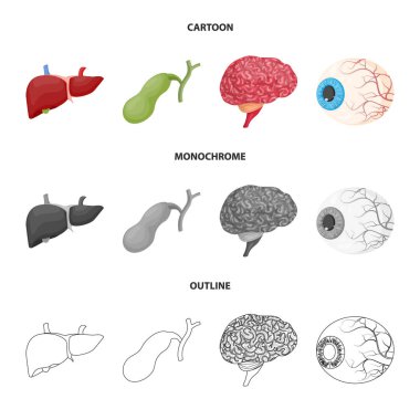 Vücut ve insan işareti vektör çizimi. Vücut ve web için tıbbi hisse senedi simgesi toplama.