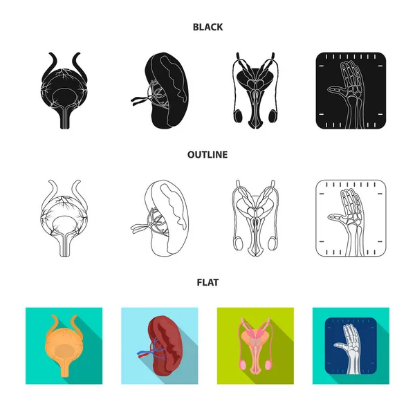 Vektordesign des Körpers und des menschlichen Zeichens. Set von Körper und medizinischem Vektor-Symbol für Aktien. — Stockvektor