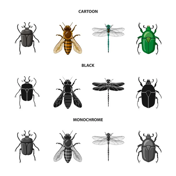 곤충 및 비행 아이콘의 벡터 디자인입니다. 웹에 대 한 곤충과 요소 주식 기호 모음. — 스톡 벡터