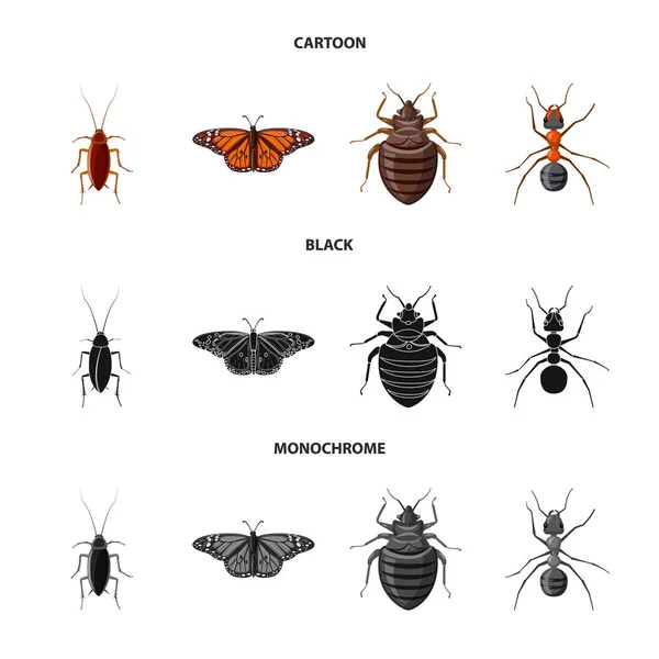 Projeto vetorial de inseto e mosca sinal. Conjunto de ilustração vetorial de estoque de insetos e elementos . —  Vetores de Stock