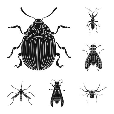 Böcek ve sinek logo vektör tasarımı. Web için böcek ve öğe hisse senedi simgesi kümesi.