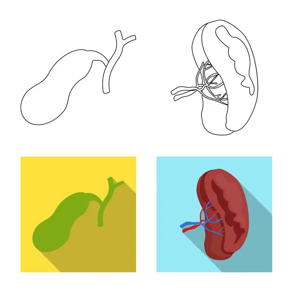 Ilustración vectorial del cuerpo y del signo humano. Conjunto de cuerpo y símbolo de stock médico para web . — Vector de stock