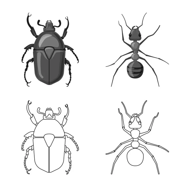 Objet isolé d'insecte et icône de mouche. Ensemble d'illustration vectorielle de stock d'insectes et d'éléments . — Image vectorielle