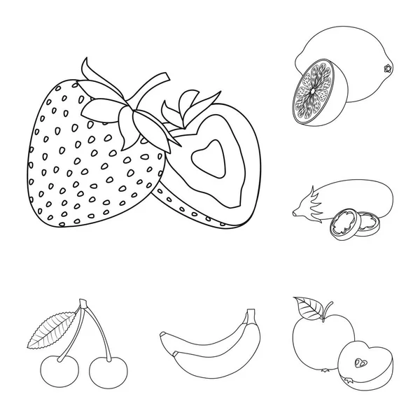 Objeto aislado de icono de frutas y verduras. Colección de icono de vector vegetal y vegetariano para stock . — Vector de stock