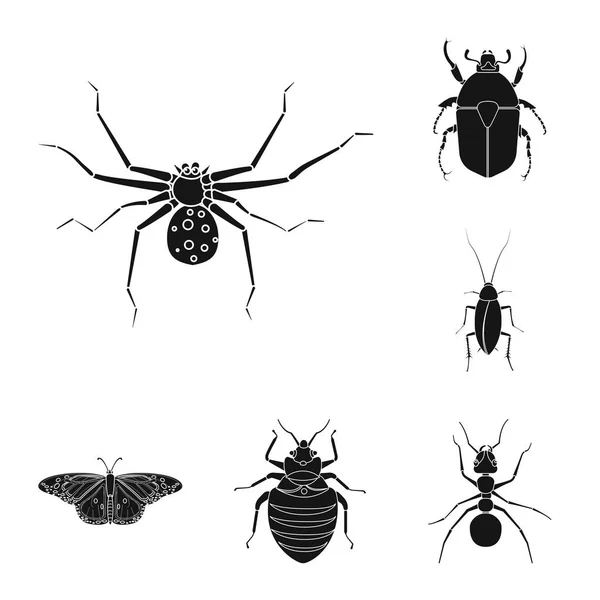 Ilustración vectorial del signo de insectos y moscas. Colección de insectos y símbolo de stock de elementos para la web . — Vector de stock