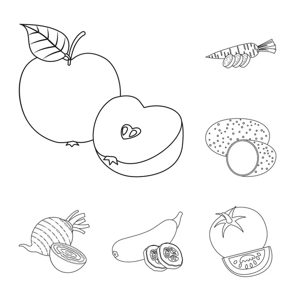 Ізольований об'єкт з овочів та фруктів. Збірка вегетаріанської вегетаріанської ікони на складі . — стоковий вектор