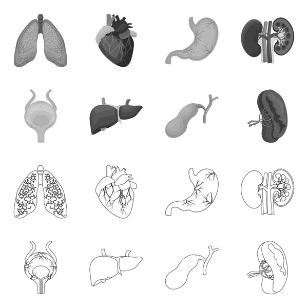 Objet Isolé Corps Symbole Humain Ensemble Illustration Vectorielle Corps Stock — Image vectorielle