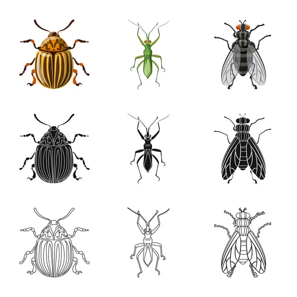 Geïsoleerde object van insecten en vliegen pictogram. Set insect en element aandelensymbool voor web. — Stockvector