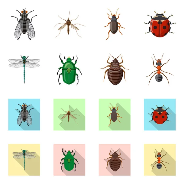 昆虫とフライのサインの孤立したオブジェクト。Web の昆虫と要素のストック シンボルのコレクション. — ストックベクタ