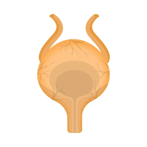 Diseño vectorial del cuerpo y el logotipo humano. Colección de ilustración de vectores de cuerpo y stock médico . — Archivo Imágenes Vectoriales