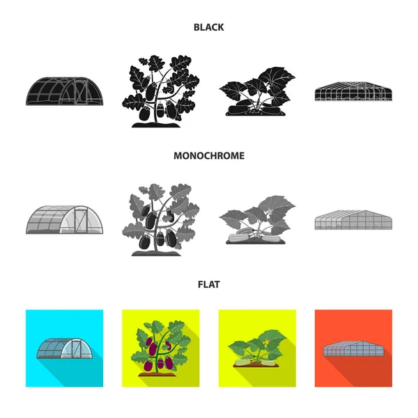 Ilustração vetorial de estufa e símbolo de planta. Conjunto de estufa e ícone de vetor de jardim para estoque . — Vetor de Stock