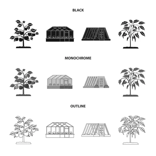 Projekt wektor logo cieplarnianych i roślin. Zestaw cieplarnianych i ogród Stockowa ilustracja wektorowa. — Wektor stockowy