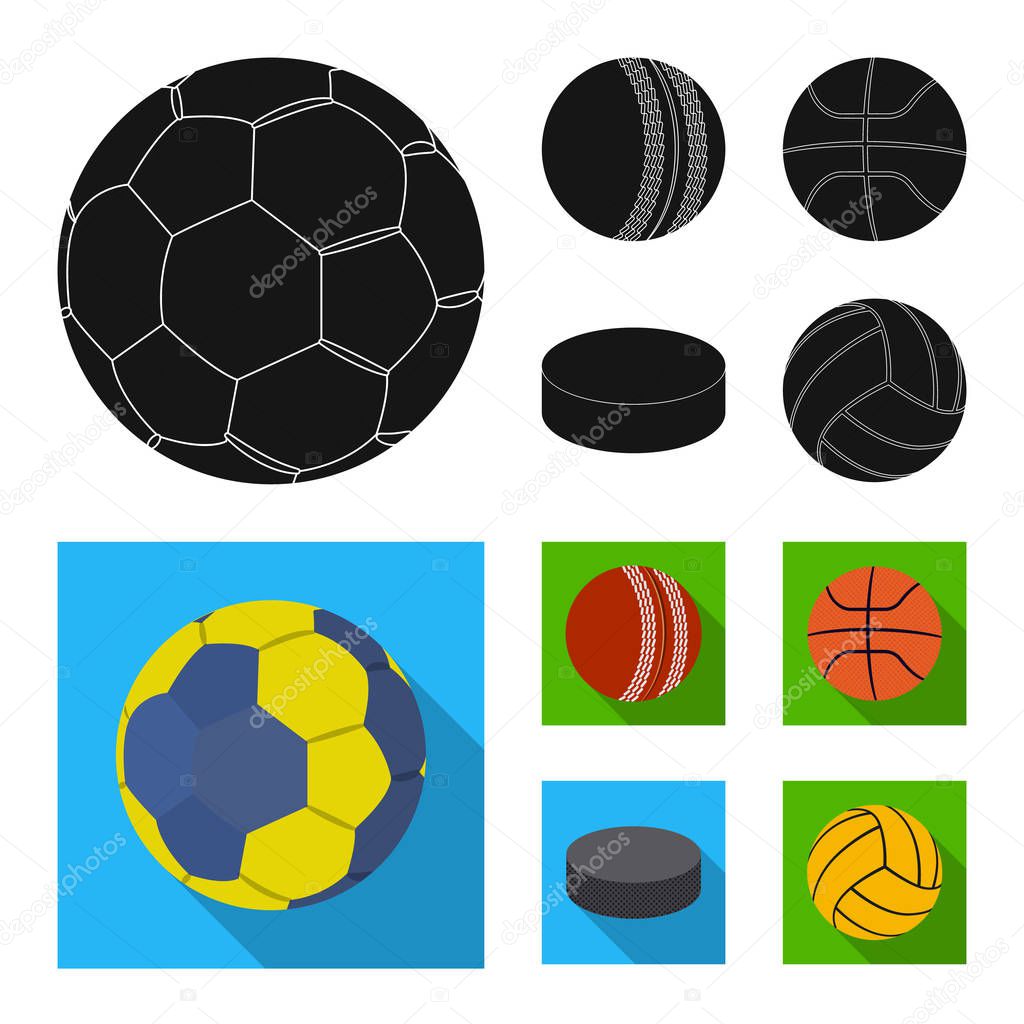 Vector illustration of sport and ball symbol. Collection of sport and athletic stock vector illustration.