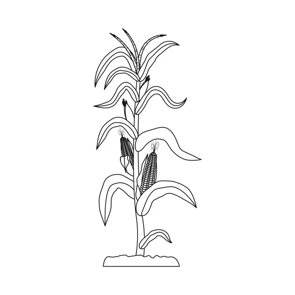 Objeto aislado de invernadero y símbolo de planta. Conjunto de invernadero y símbolo de stock de jardín para web . — Vector de stock