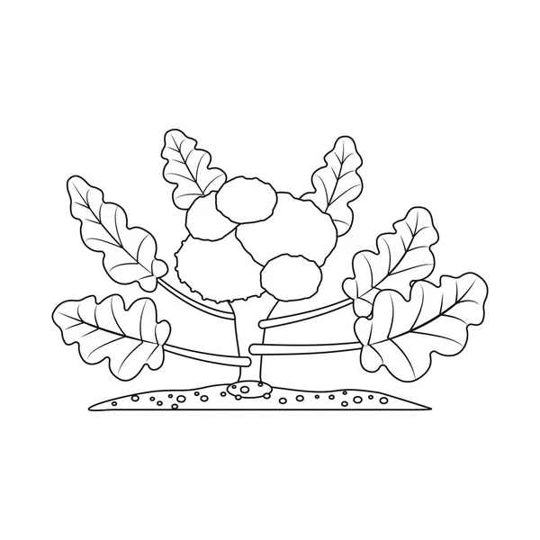 Geïsoleerde object van broeikasgassen en plant logo. Collectie van serre en tuin voorraad vectorillustratie. — Stockvector