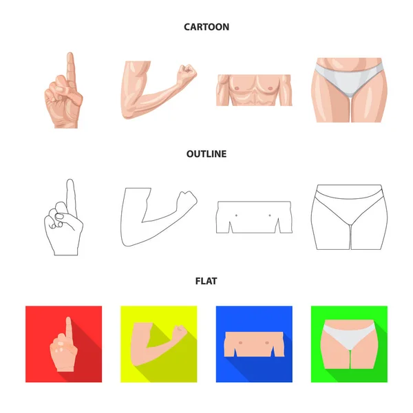 Ilustração vetorial de signo humano e parcial. Coleção de símbolo de estoque humano e mulher de web . — Vetor de Stock